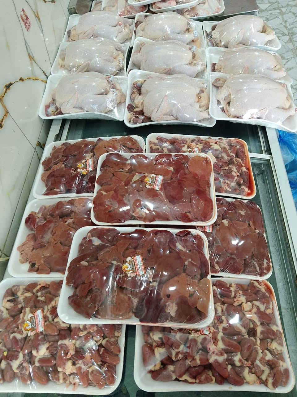 ذبح اليوم • دجاج تازة • مقطع حسب الطلب