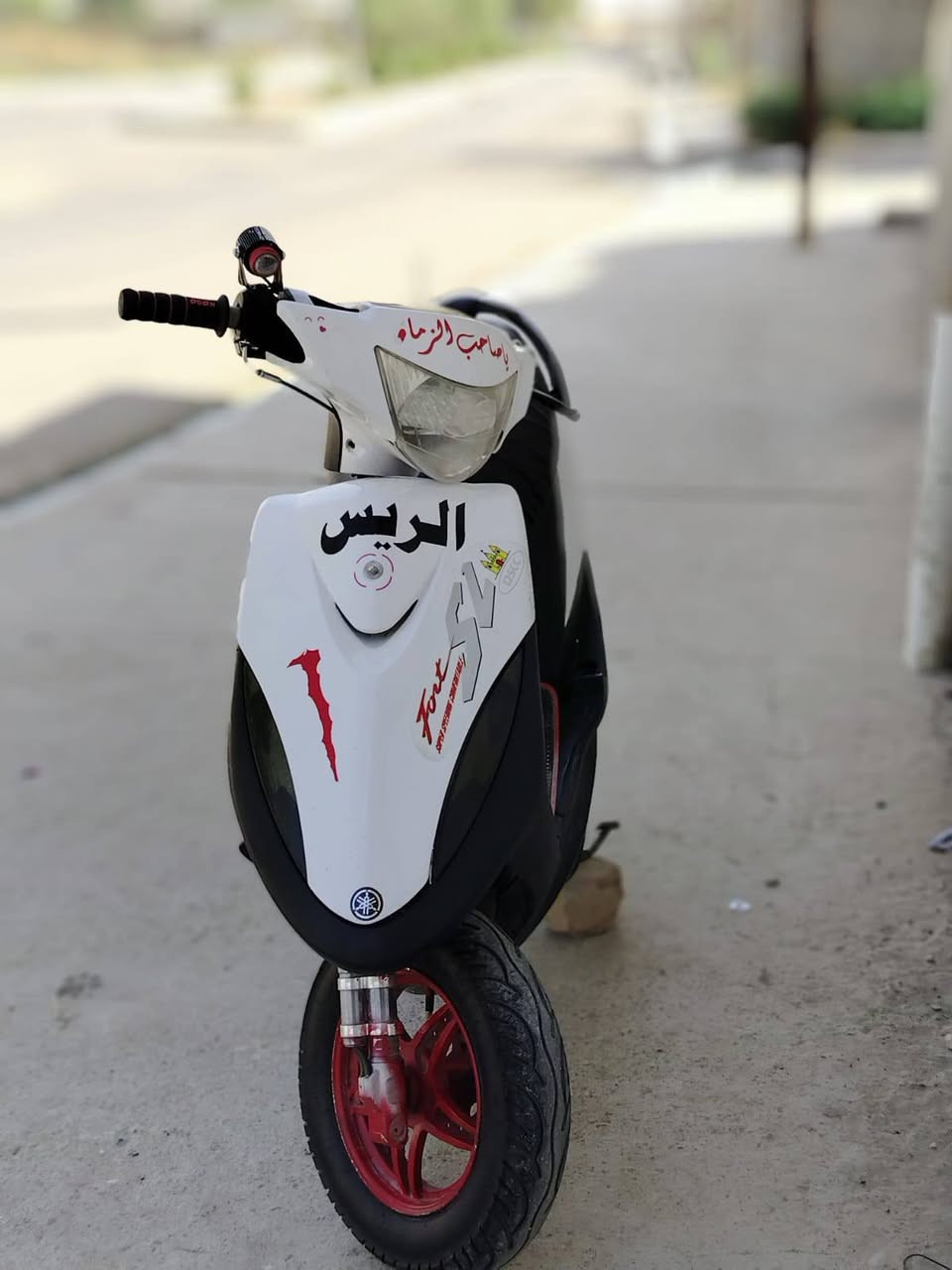 ماكس عدلة • سلف شغل • هندر موشغل