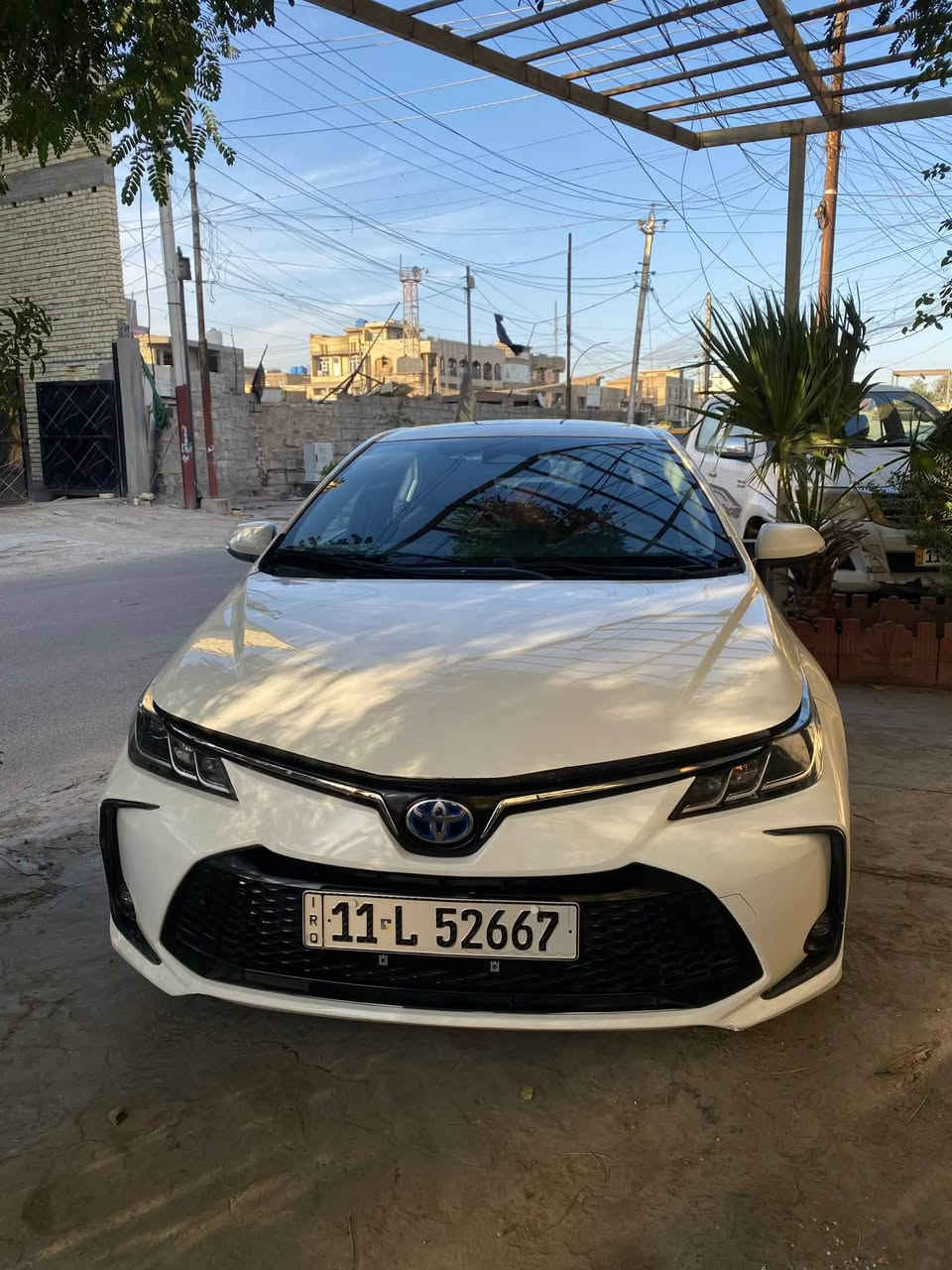 كورلا هايبرد • ٢٠٢٣ • رقم بغداد
