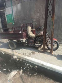 ستوته • مكفوله • حيانية