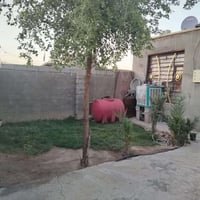 حي الشرطه • طابو زراعي • ٢٤٠م