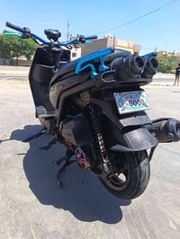 سكنس جبلي • مراوس • ١٢٠