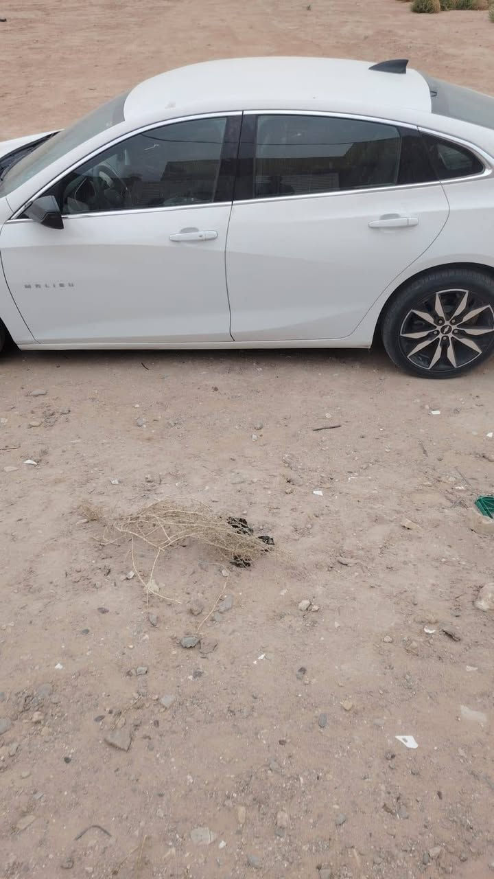 ماليبو ٢٠٢٠ • حادثة امريكا • النجف