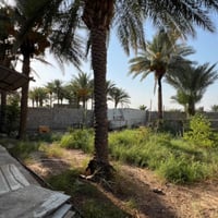 نص دونم • دغاره الشاطي • غرفتين