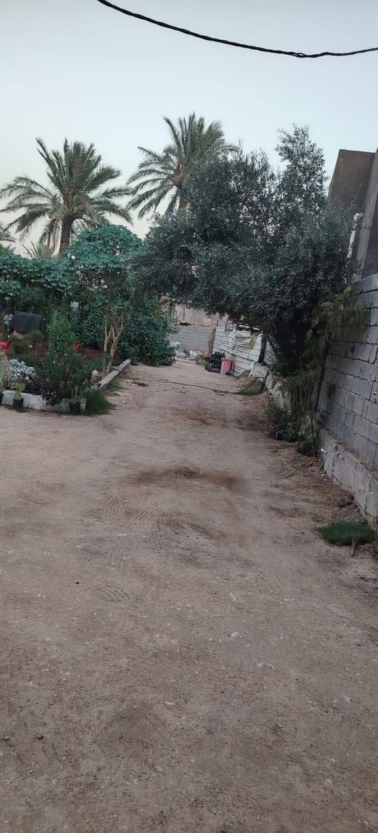 السلام عليكم جميعآ ورحمة الله وبركاته
نصف دونم مع دار كبير يحتوي على ٢ غرفه نوم + ٢ صاله كبير وصغيره  + مطبخ + استقبال صاله ضيوف + صحيات للزائرين عدد( ٤) ...+ دار صغيره تحتوي على غرفه نوم +  صاله + صحيات 
الأرض مخدومه تحتوي على  (١٠ )نخله كبيره   (١٠) نخله صغيره أصناف متنوعه 
المكان......... 
كربلاء المقدسة. قرب سيطره الابراهيميه شارع الرابط ٨٠ م عن الشارع موقع مميز 
الأرض  عقد ١١٧ باسمي رافع معامله 
الرقم ***********
