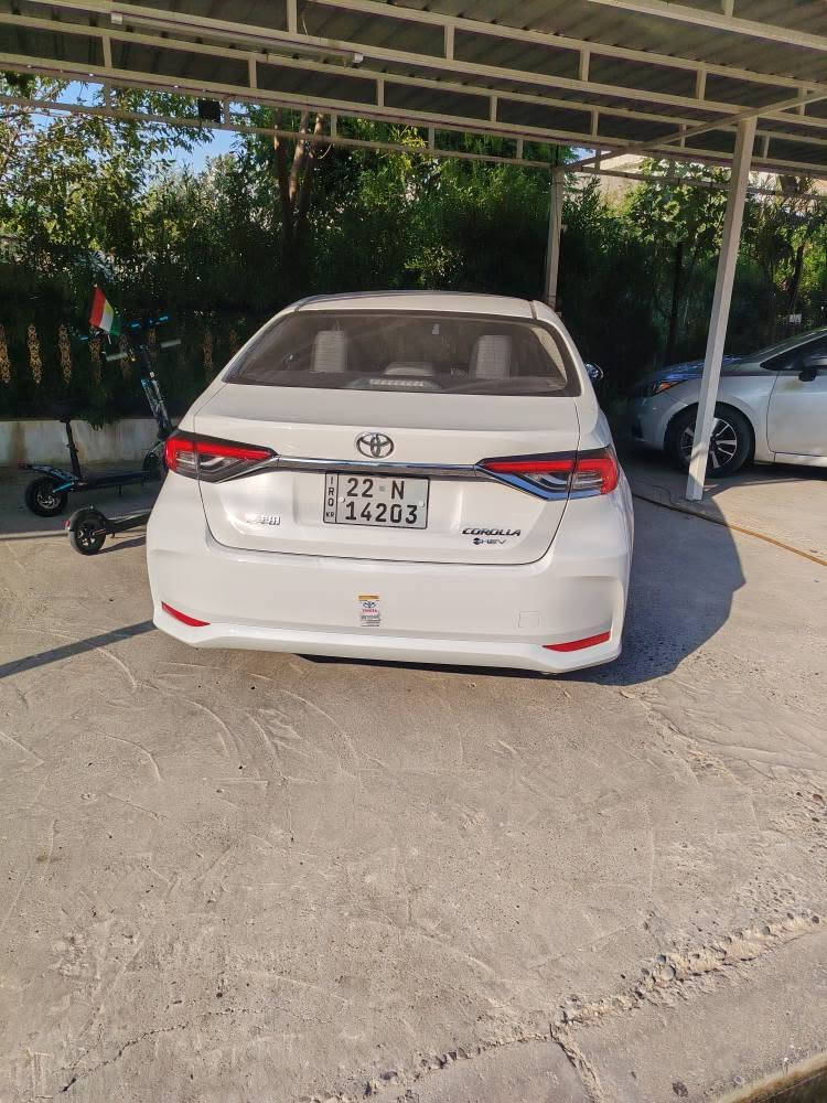 Bekasho 2024 23 hasar roestua tel *********** أربيل, العراق
