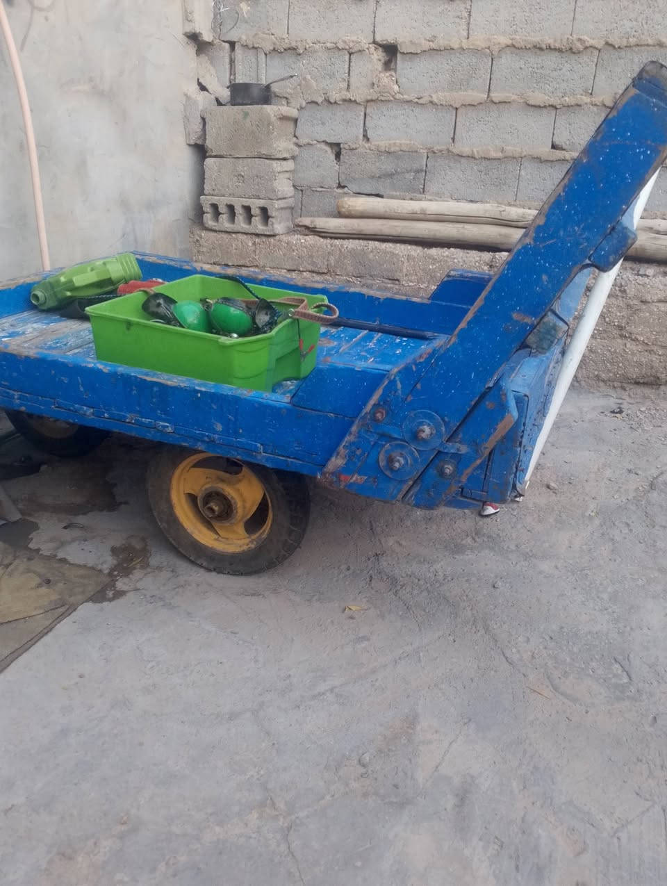 كلمن • سجاد