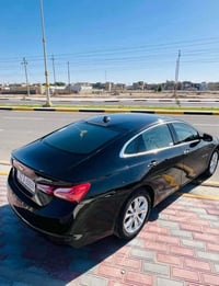 ماليبو برمير • ٢٠١٩ • بدون ايرباك