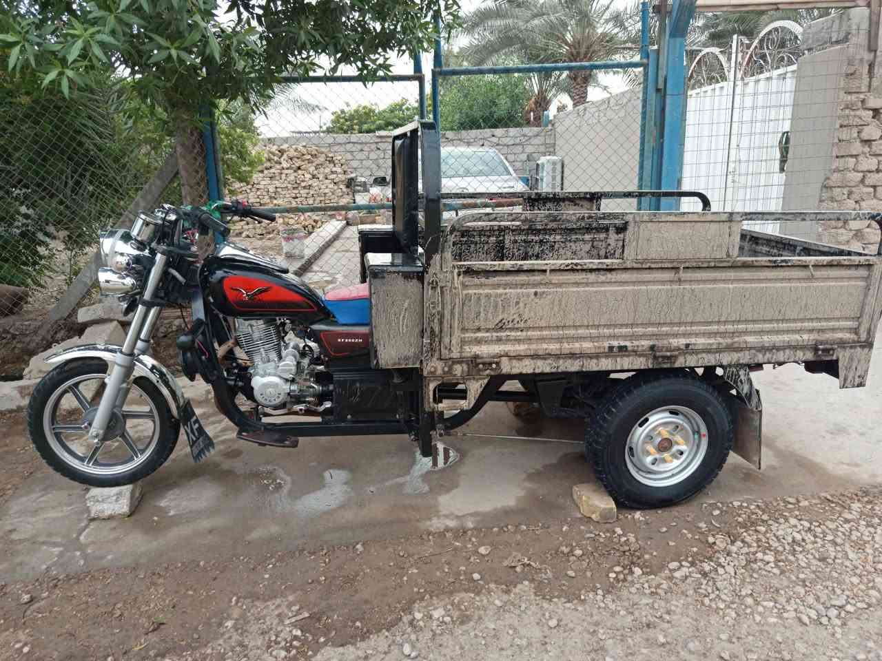 ستوته • موديل ٢٤ • مكفوله