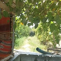 يا الله السلام عليكم دونم ونص سند 25 تحويل ثاني يوم بسم المشتري العنوا...