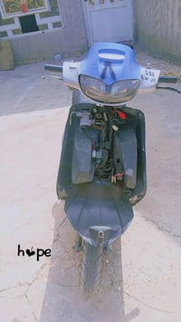 فراشه فحل • معدل • يحتاج باتري