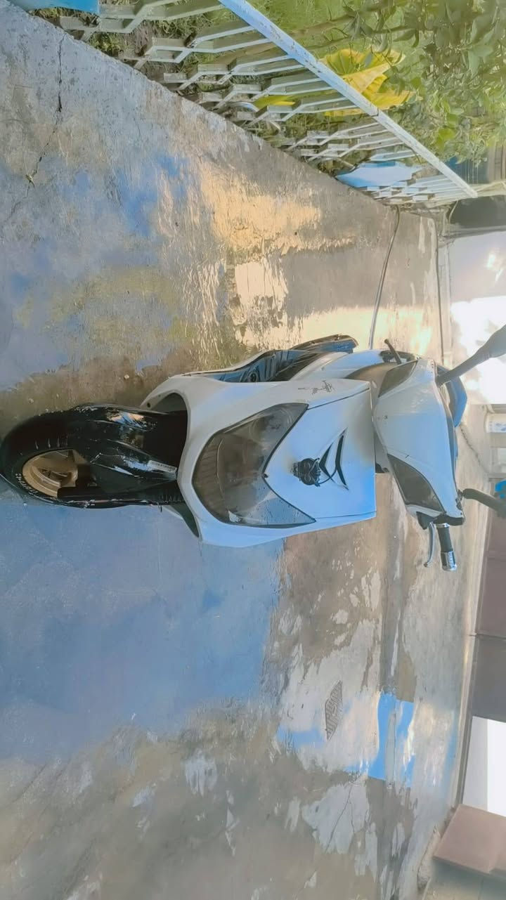 سكنس فحل • كابريتر • نضيفة