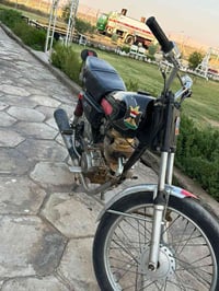 سهل • نينوه • دجله ستي