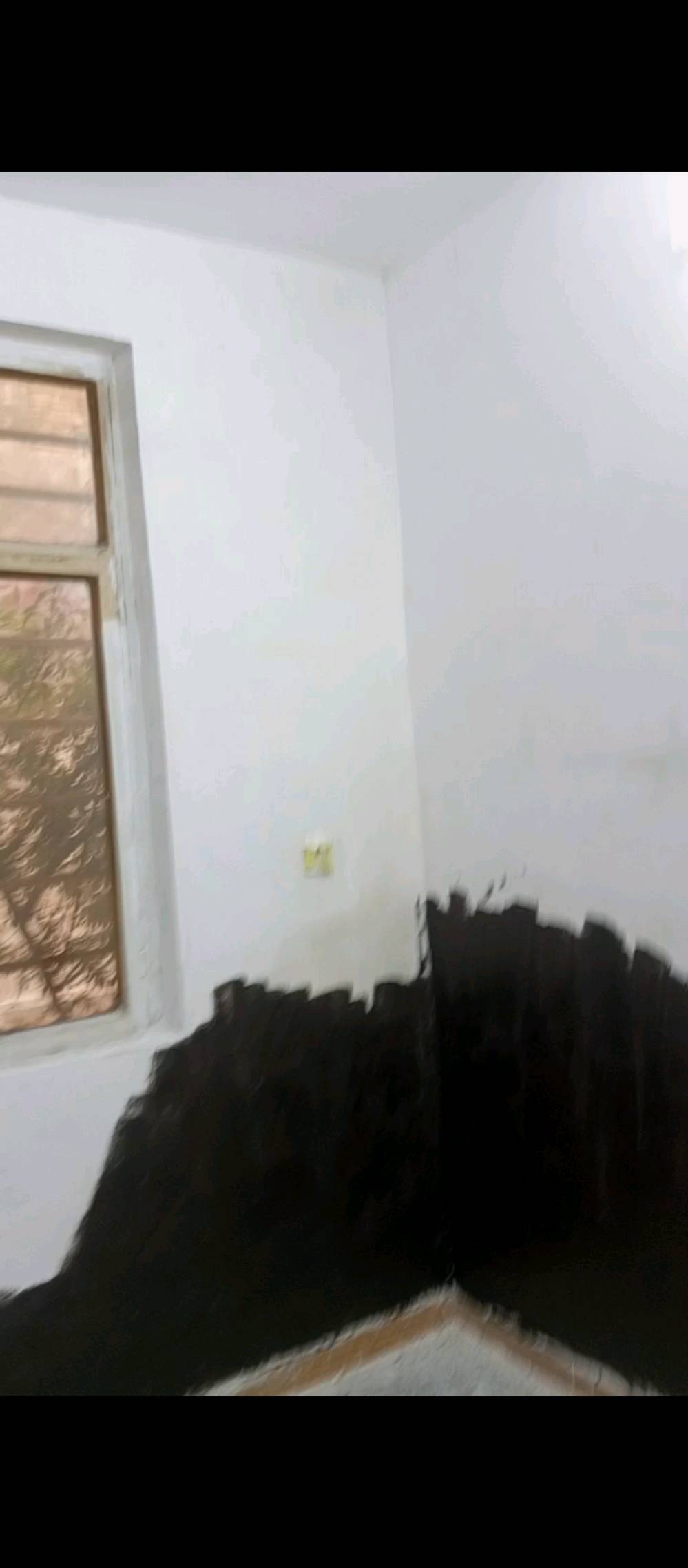 بغداد • صبغ بيوت • اسعار مناسبة