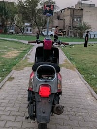 بوليسي نوزل • ماروني • لايت لونين