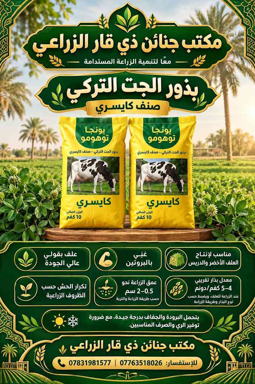 .
لماذا يعتبر كيس بذور الجت التركي (10 كغم) هو الخيار الأفضل؟

​🇹🇷 جودة تركية عالمية: بذور أصليّة مستوردة تضمن لك أفضل أداء ونمو.

​🌱 نمو سريع وفائق: بذورنا تتميز بسرعة إنبات لا مثيل لها، مما يوفر وقتك وجهدك.

​📏 ارتفاع مثالي: يصل طول النبتة إلى 70 سم، مما يضمن لك وفرة هائلة من العلف.

​⏳ ديمومة مذهلة: عمر المحصول يمتد من 4 إلى 5 سنوات (عيش مستمر)، مما يقلل من تكاليف إعادة الزراعة.

​🦾 صلابة ومقاومة: مصمم خصيصًا ليتحمل ظروف العراق الجوية القاسية.

​####💰 الأسعار والعروض المغرية:

​سعر الكيس الواحد (10 كغم): 80 ألف دينار عراقي فقط.

​سعر الكيلو الواحد: 8 آلاف دينار (للراغبين في شراء كميات أقل).

​####🚚 خدمة توصيل موثوقة:

​نوفر خدمة التوصيل مجانية لجميع محافظات العراق . لن تشعر بعبء النقل، نحن سنهتم بكل شيء.

​📞 للحجز والاستفسار:

​الكميات محدودة، سارع بالحجز لتضمن حصولك على بذور الجت التركي الأصلي!

​📞 للاتصال المباشر: ***********

💬 للتواصل عبر واتساب ***********

نص مكتوب في الصور:
- مكتب جنائن ذي قار الزراعي الخيار الأقوى لمزارعي العراق! تفاصيل الطلب الوزن: ٦٠يلوگرام / الوزن: 10 كغم السعر للكيس: 75 ألف دينار عراقي CALL-TO-ACTION توصيل متاح إلي كافة محافظات العراق للحجز والاستفسار: *********** & *********** الوزن: 10 كغم - السعر: 75 ألف دينار جودة تركية فاخرة إنتاجية علفية هائلة تحمل عالي للجفاف ومقاومة للأمراض (Yüksek Dayanıklılık) الله أكبر عرض خاص: التوصيل 5 آلاف دينار فقط!
- مكتب جنائن ذي قار الزراعي معًا لتنمية الزراعة المستدامة بذور الجت التركي صنف كايسري يونجا توهومو بذور الجت التركي - صنف كايسري كايسري الوزن الصافي 10 كغم مناسب لإنتاج العلف الأخضر والدريس غني بالبروتين علف بقولي عالي الجودة معدل بذار تقريبي 4-5 كغم/دونم عند الزراعة للعلف، ويضبط حسب نوع البذار وطريقة الزراعة عمق الزراعة نحو 0.5-2 سم حسب طريقة الزراعة والتربة تكرار الحش حسب الظروف الزراعية يتحمل البرودة والجفاف بدرجة جيدة، مع ضرورة توفير الري والصرف المناسبين. مكتب جنائن ذي قار الزراعي للإستفسار: *********** | ***********