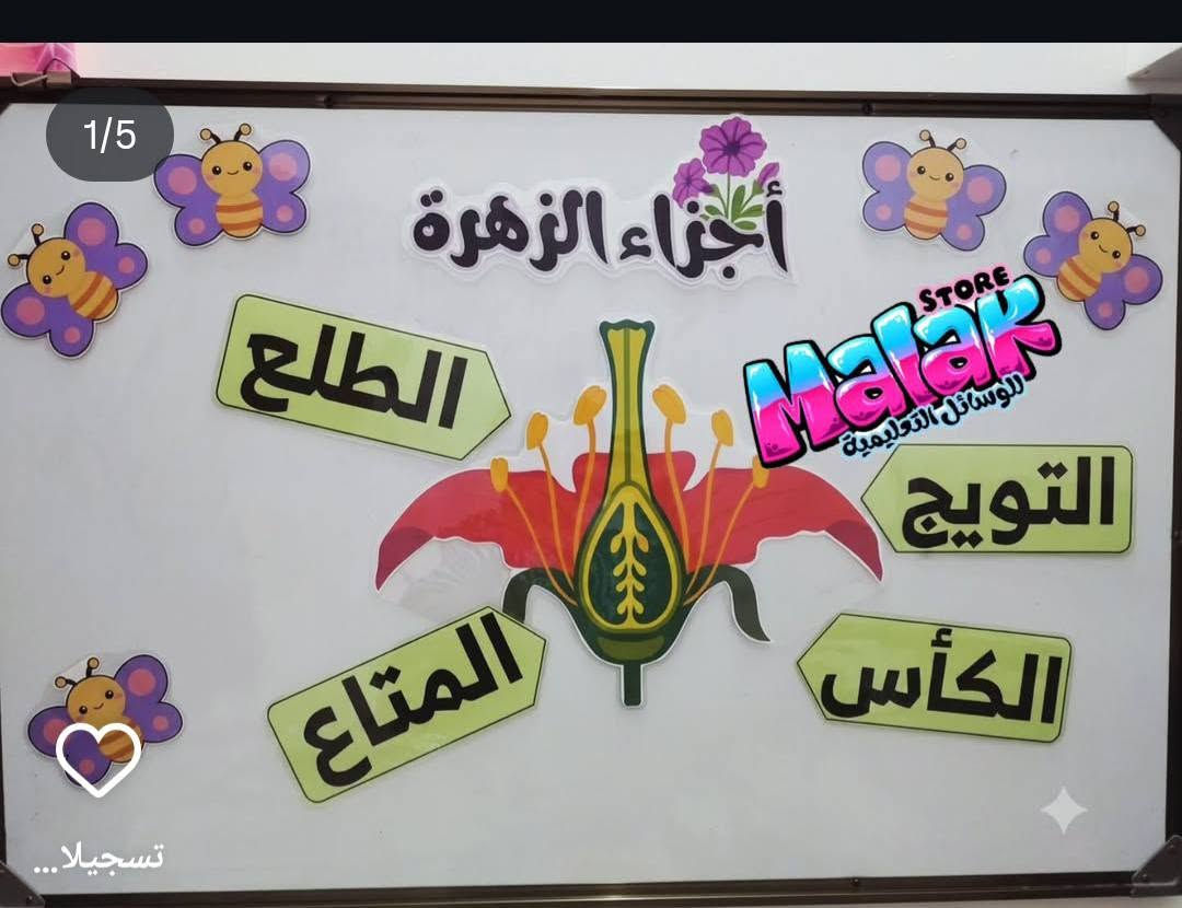وسائل تعليمية • كبس حراري • علوم خامس وثالث