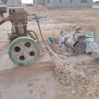 لستر • داينمو • للبيع