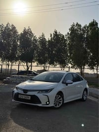 كورلا • ٢٠٢٤ • مشي ٦٠٠٠٠