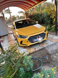 النترا • ٢٠١٧ • وارد أمريكي