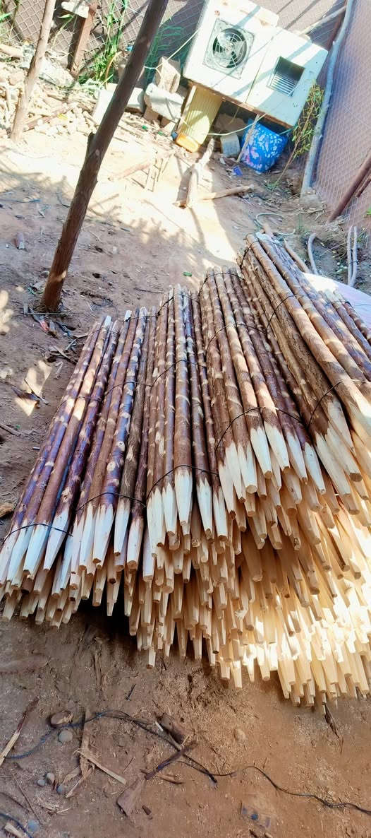 سلام عليكم ربد عراقي صفصاف 
الاسفسار ***********
***********
