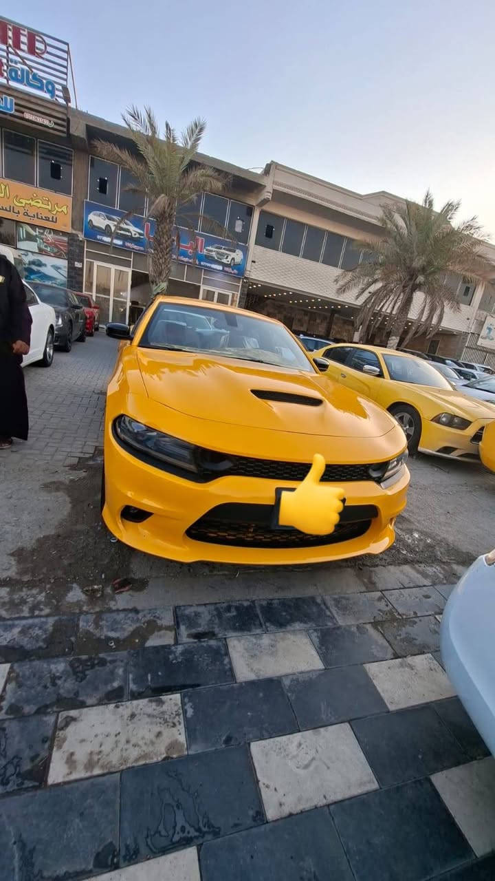 سلام عليكم 
جارجر 2019 GTاصل رقم بغداد مشروع وطني 
حادثه جاملغ وباب  سياره جاهزه أي نقص مابيها 
داخل أحمر         

السعر 185
***********
