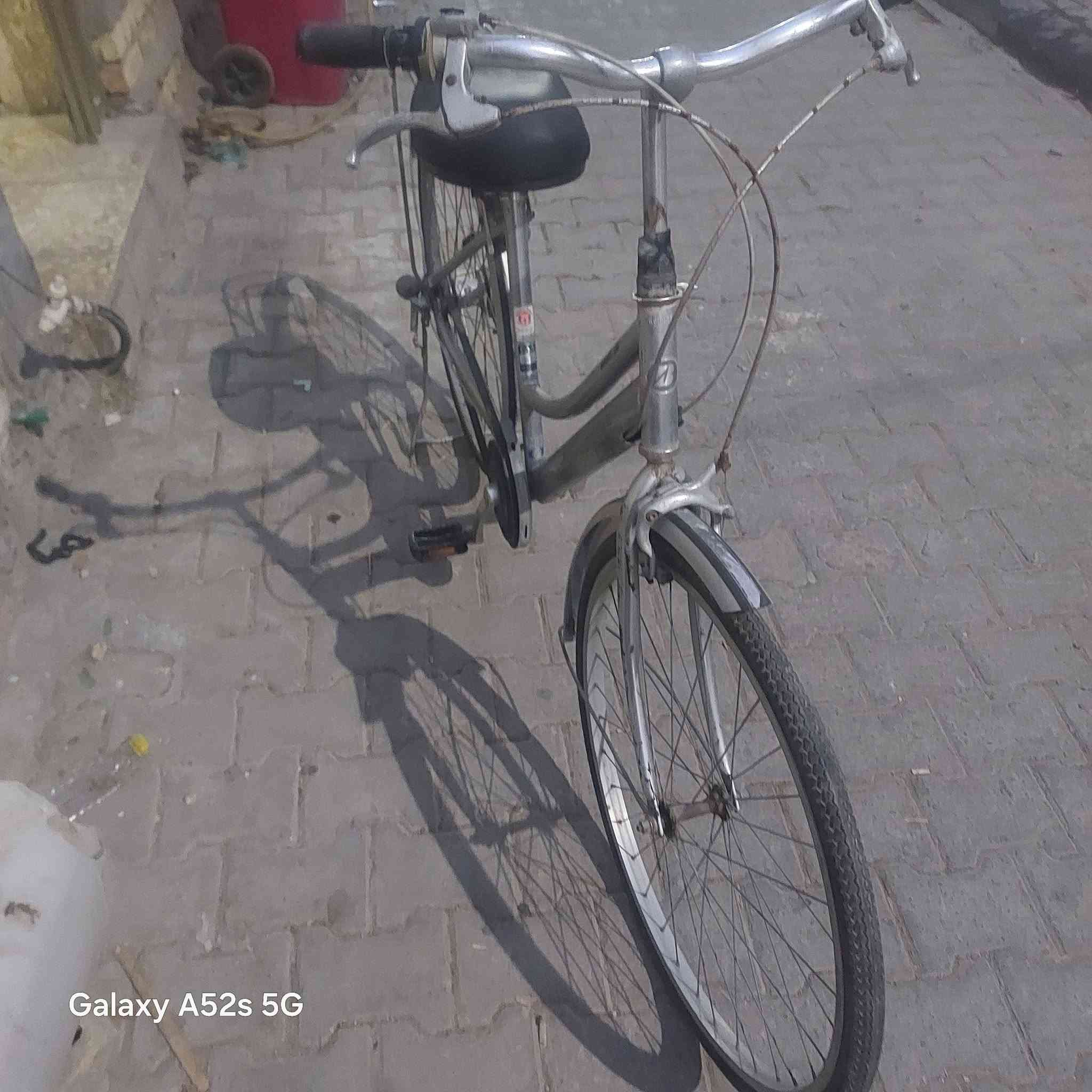 بيسكل • قايش • مو زنجيل