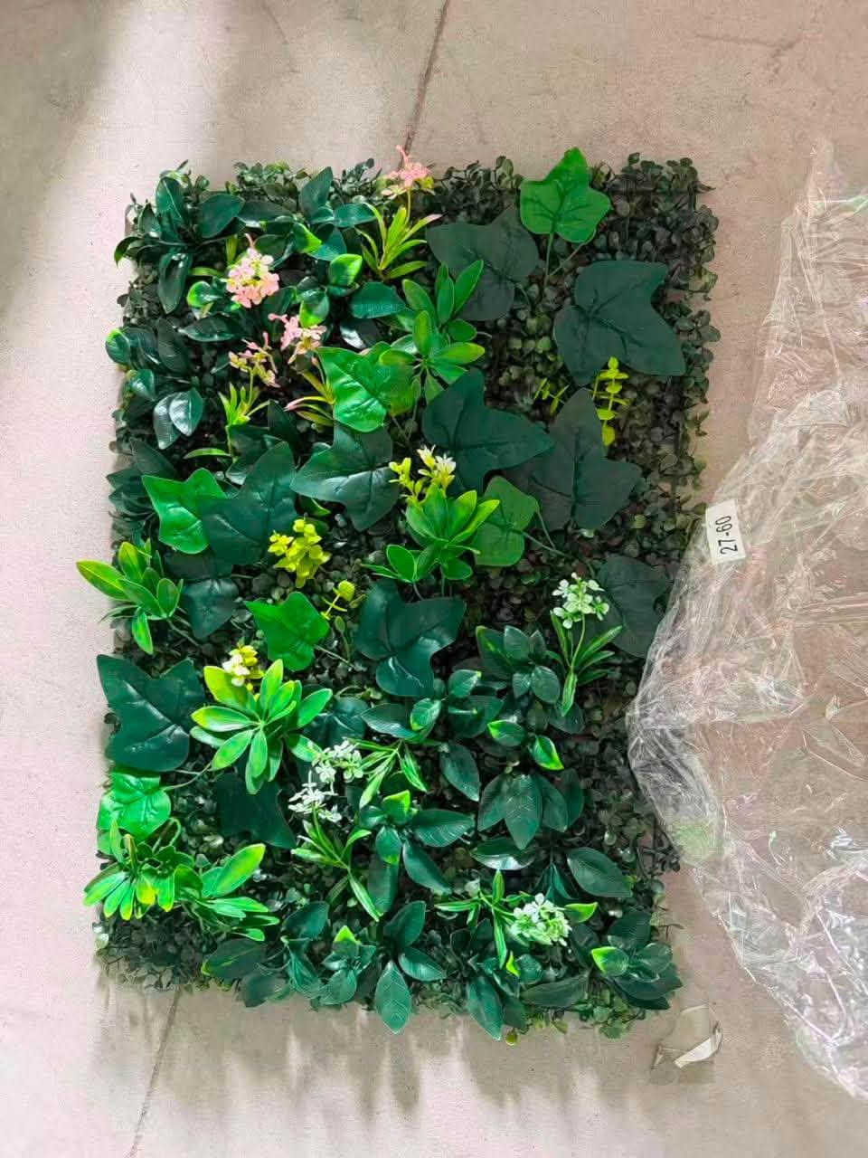 كارتون فقط 40&60   ورق شجره اصلي  استفسار هاتف ***********
