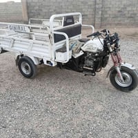 ستوته فحل • موديل ٢٢ • نظيفة