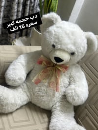 دبب • حجم كبير