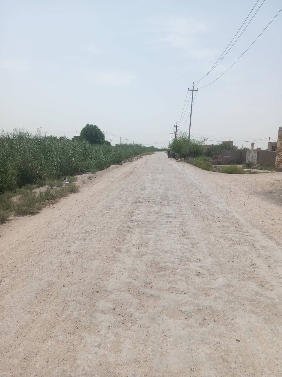 ابو صريفة • ٨٥٠م • طابو سند ٢٥
