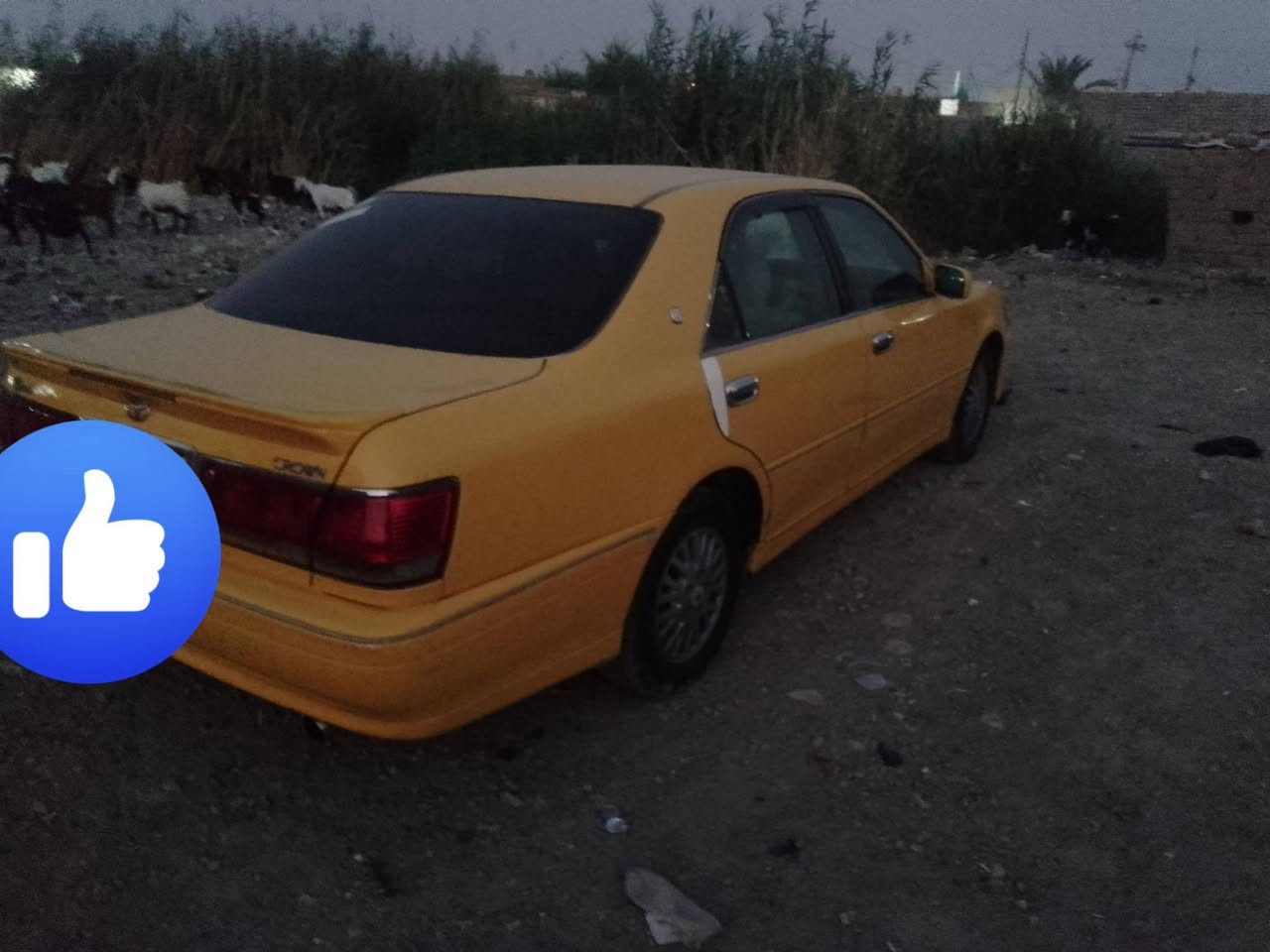 سلام عليكم جنون للبيع سياره موديل 2003  رقم نجف كير محرك حداديه نص عمر تخم تاير تبريد عندي وكاله عام بسمي سياره مكفوله أصل بيضه محزم سياره جاهزه كبل لشارع  السعر 90 وبيه مجال مراوس هم ترهم جارجر أوباما 10 هم ترهم مكان السياره ناصريه سوق الشيوخ التواصل***********
