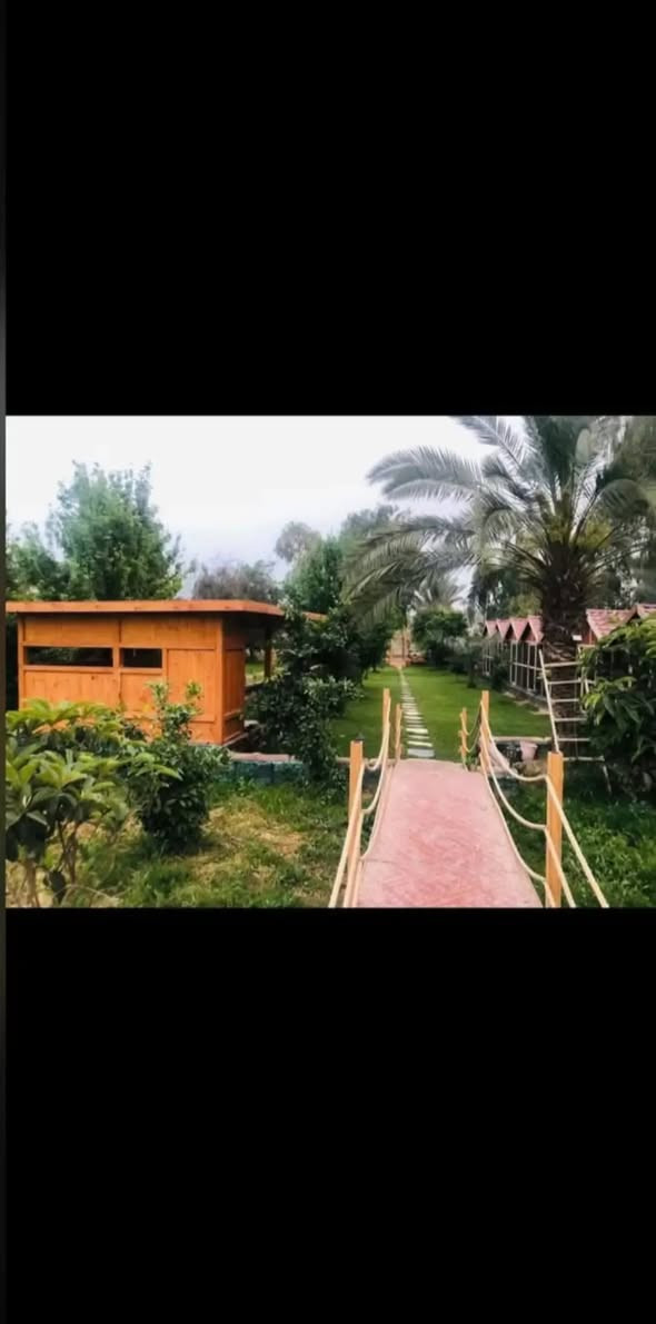 مزارع الزعفرانية عالشط خيااال ❤️ للحجز اليومي متوفرة للحجز ***********
