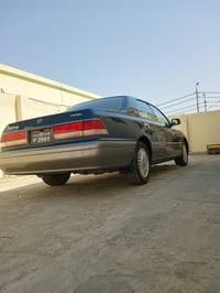 راس الثور • ٢٠٠١ • مكفولة