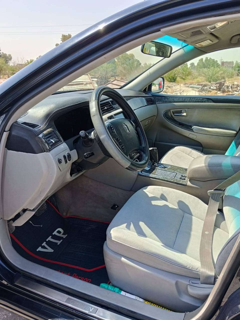 شاهين • ٢٠٠٦ • نجف