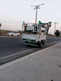 ستوته • موديل ٢٤ • أوراق كاملة