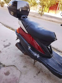 فراشة • سلف جديد • محرك ناعم