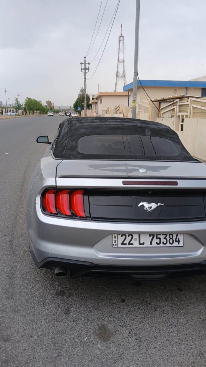 فورت موستنك 2021 حيزام سبوع كير مكينة بةشرت 
118kروهيتوة 
بشت بيش كةبس 115$معاملة *********** أربيل, العراق
