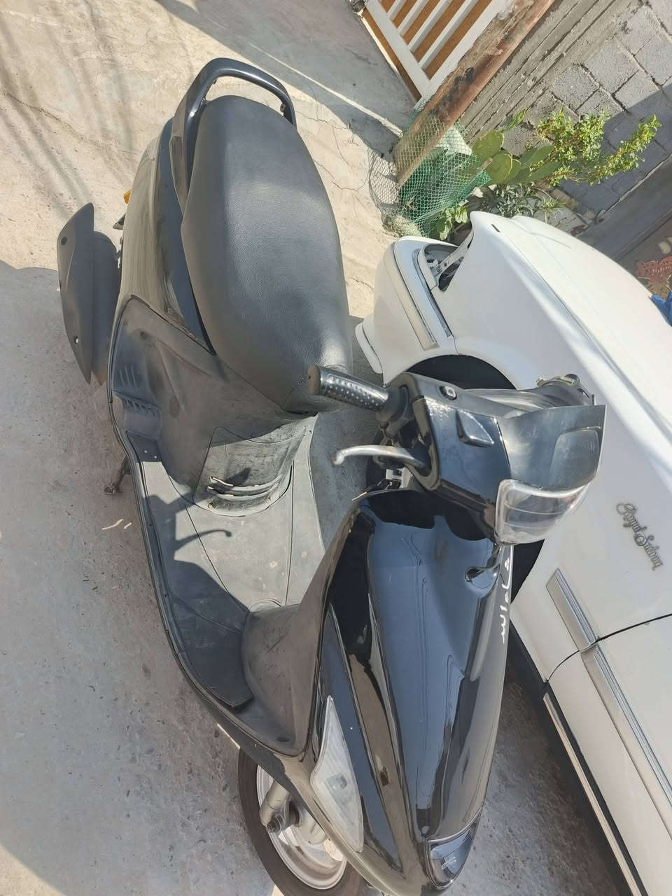 فراشه فحل محرك ماكس   جاهزه محرك شرط مامفتوح سلف هندر كهربائيات كله شغال كفر وسواد ختم واحد
600 بيهه مجال مكاني نجف ***********
