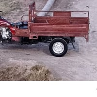 ستوته • كفالة • ٢٠١٤