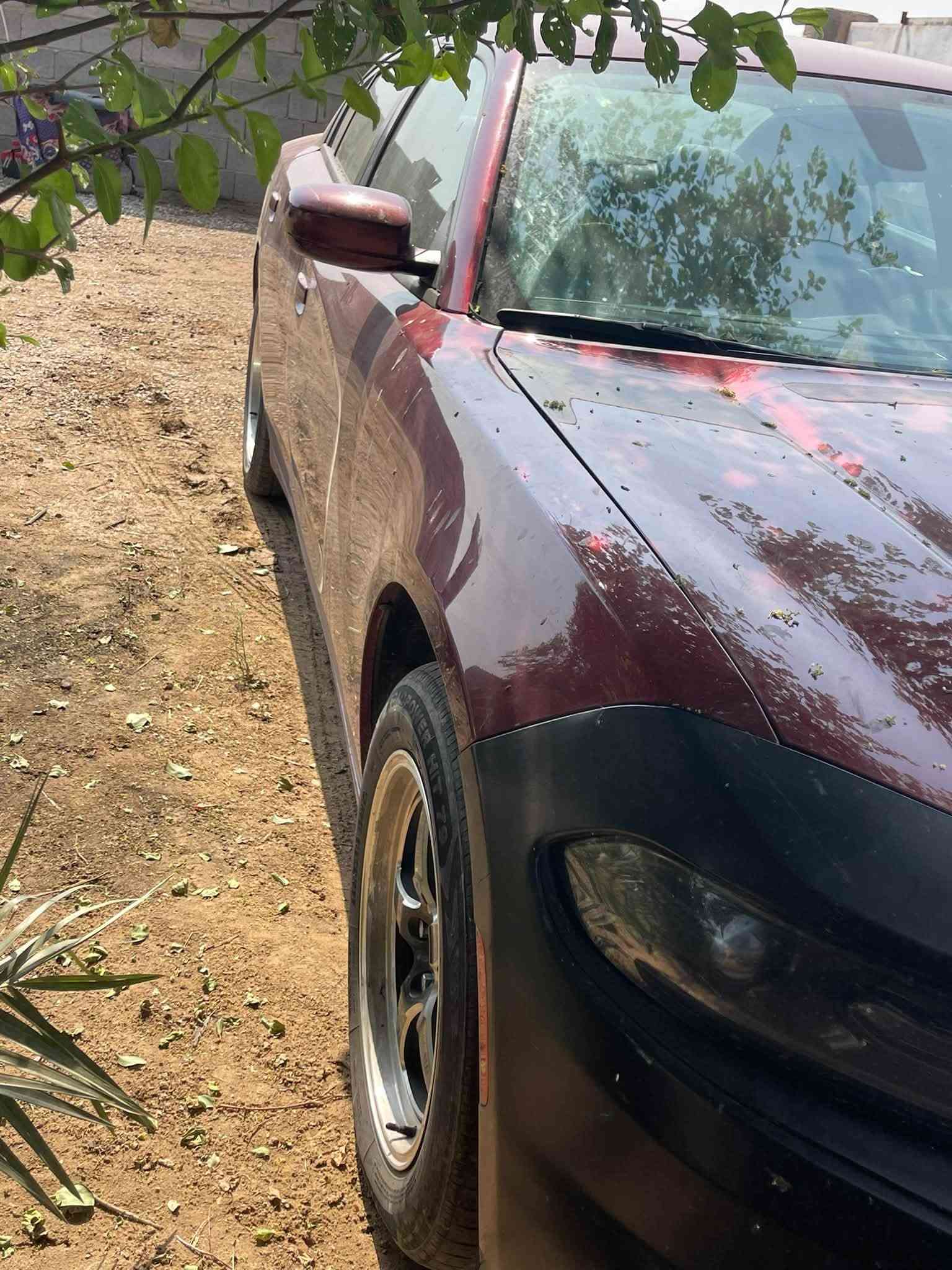 جارجر • ٢٠١٧ • رقم بصرة