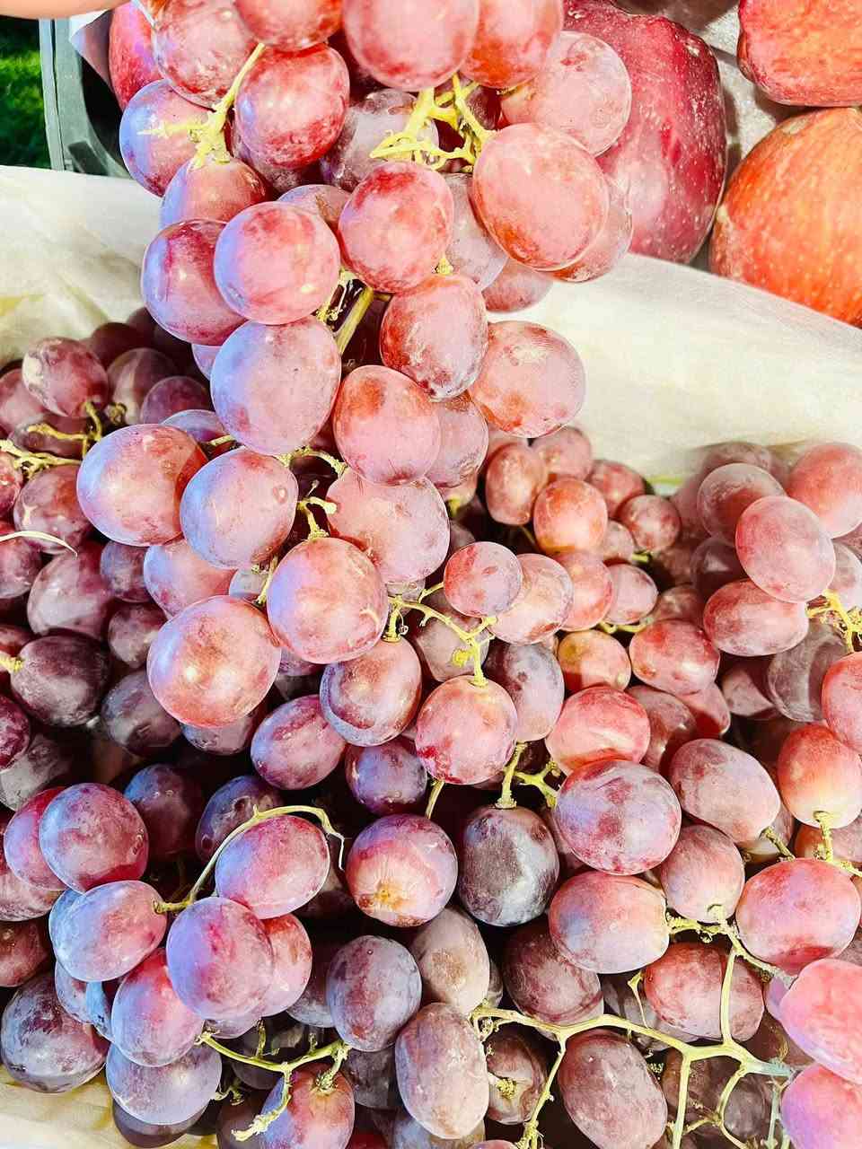 بقالة • فواكه وخضروات • توصيل الزبيديه