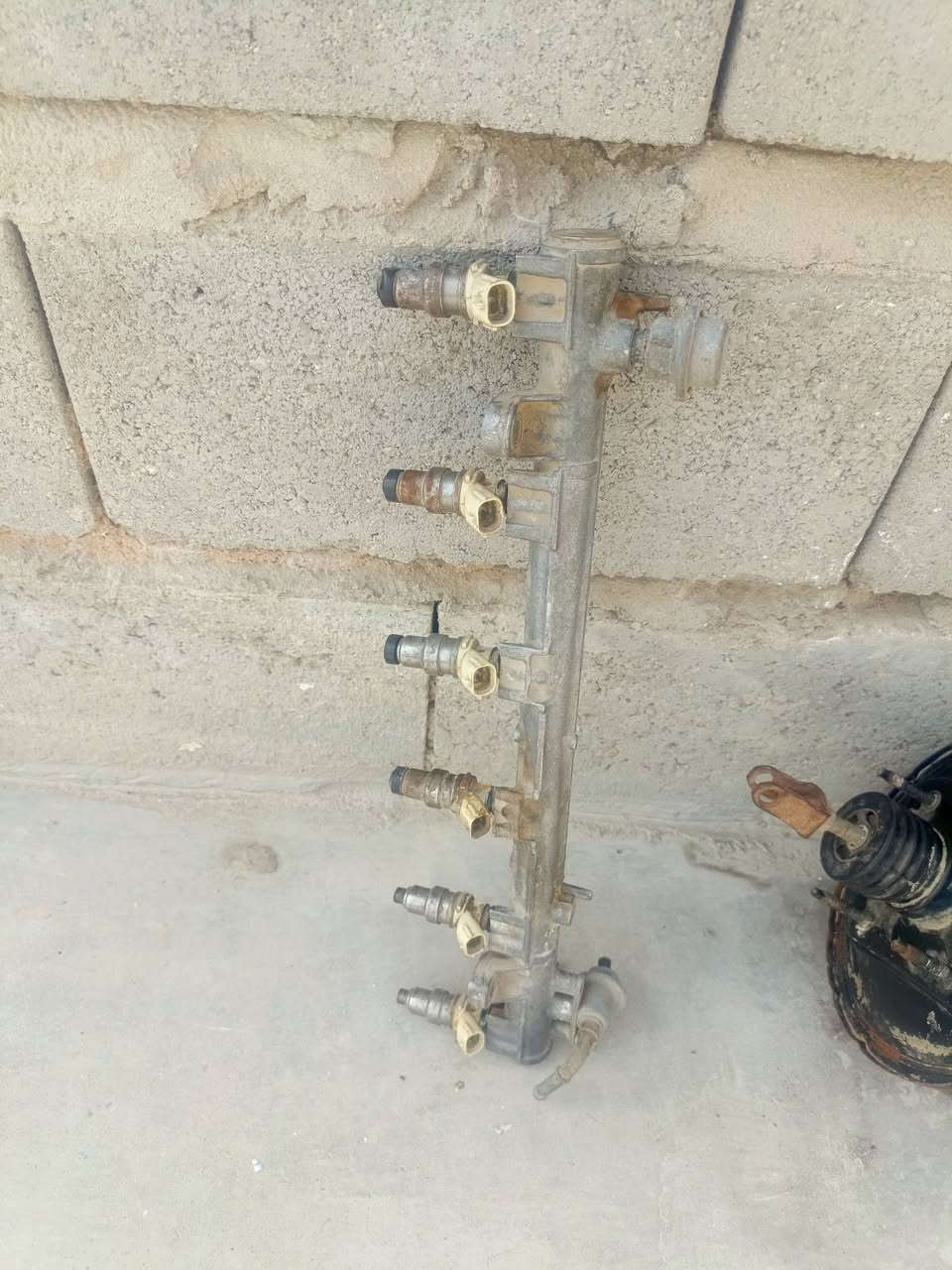 محور • كرستا مارك • الزبير