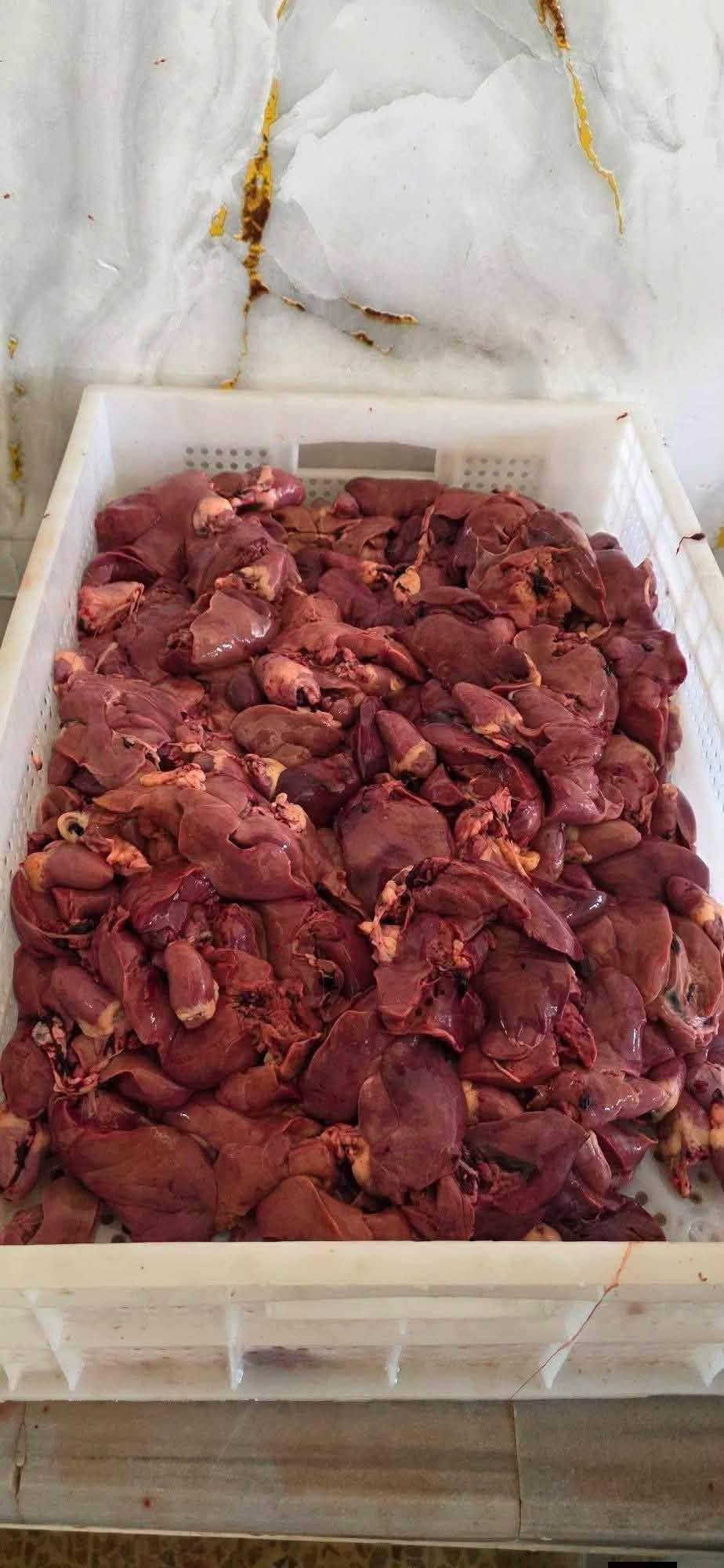 دجاج أبيض • طازج يومي • أسديرة الفهد