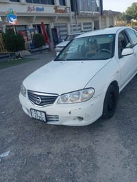 صني ٢٠١٠ • ديالى شهربان • جنطه صبغ