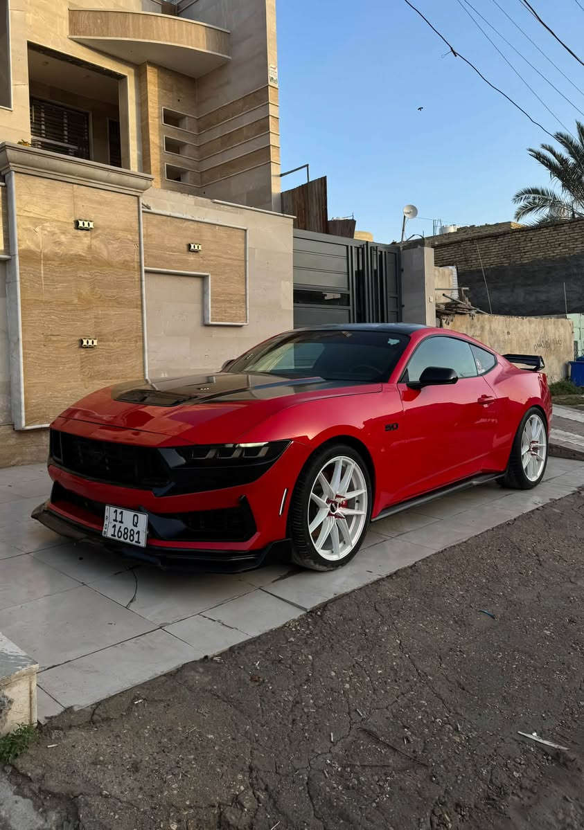 موستنك GT2024
السياره جديده بمعنى الكلمه 
 فقط بنيد جاملغ تكحيل كارت  جداً بسيط 
السياره تعبان عليها وصارف عليها مانقصها اي شي جاهزه 100‎%‎ 
عليها اضافات 
شوت وستيرن كاربون فايبر
وبك لايت ابيض اوربي ولحيه 
‏ ppf بنيد وقماره وجنطه
كاج كان
لدات دعاميه ابيض
اكس بايب كورسا
برمجه سيف تيتو
ستريس بار
ويل نيش صبغ درجه اولى ابيض 7 شذرات
سبايدر دارك هورس
لواصق اصلي ونانو سيراميك 
ماشيه 16000 كيلو 
اكتف اكزوز 
بريميوم
ديجيتل
رادار امامي وخلفي وجانبي
السياره معروفه وبلعافيه ع الياخذها ***********
مكان السيارة بالناصرية
السعر 275 وبيها مجال بسيط جداً
