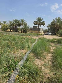 ٢٠٠م • طابو صرف • سند ٣٥