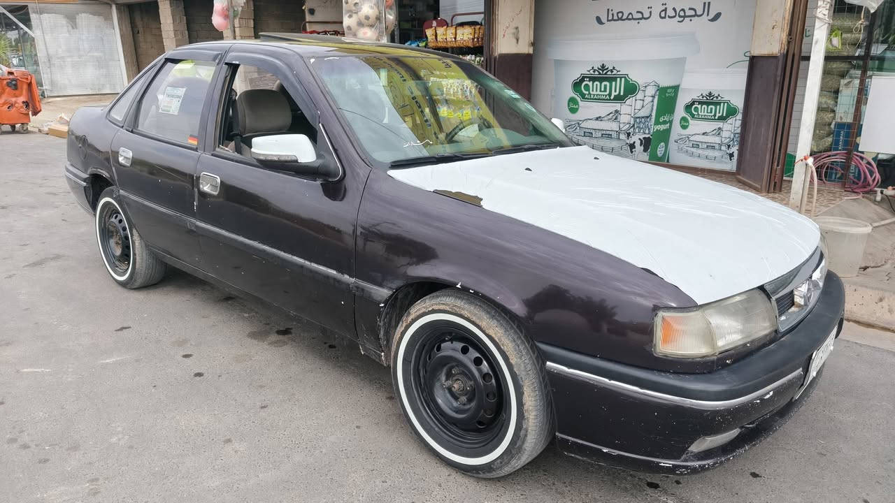 فيكترا • ١٩٩١ • رقم مشروع وطني