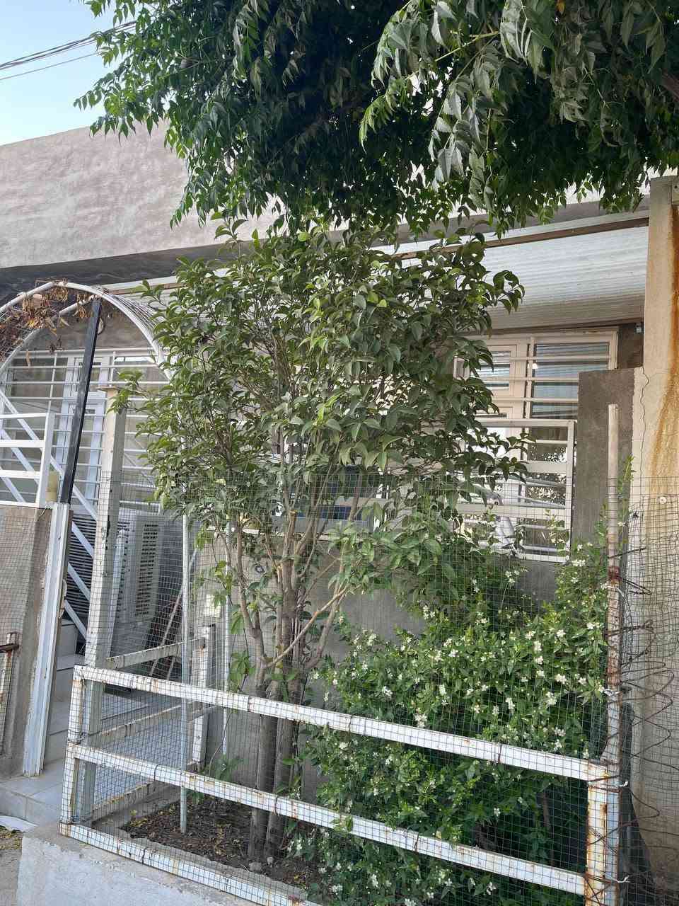 خانوو بۆ فرۆشتن لە هوانە پێکهاتووە لە دوو ژووری نوستن و هۆڵ و مەتبەخ و مشتەمەلات.خانووەکە قاتونیوێکە قاتی سەرەوەی هەیکەلە و سەقفی بۆ کراوە.خانووەکە ڕووبەری ۹٦مەترە و ئاوی ڕەیسی هەیە و فول خەدەماتە و هەموو کاشیە و سەڤفی چبسن و دەکتی موبەریدەی هەیە و حەمامی ئارامکۆیە.
***********
*********** السليمانية, العراق
