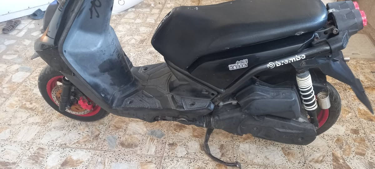 سكنس جبلي • جديده • مكفوله